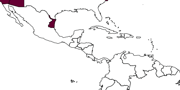 map of Eruga lineata     Townes & Townes, 1960